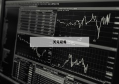 包含
的股票杠杆平台的词条
