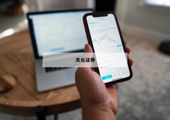 关于股票杠杆费率的信息