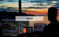 关于哪个股票能杠杆的信息