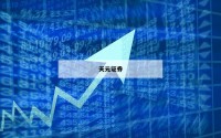 包含网络炒股杠杆的词条