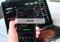 包含股票如何操作杠杆的词条