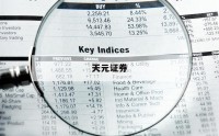 包含股票杠杆的词条