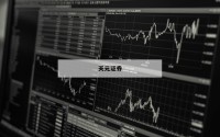 关于金融杠杆炒股的信息