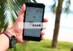 包含股票怎么用杠杆买的词条